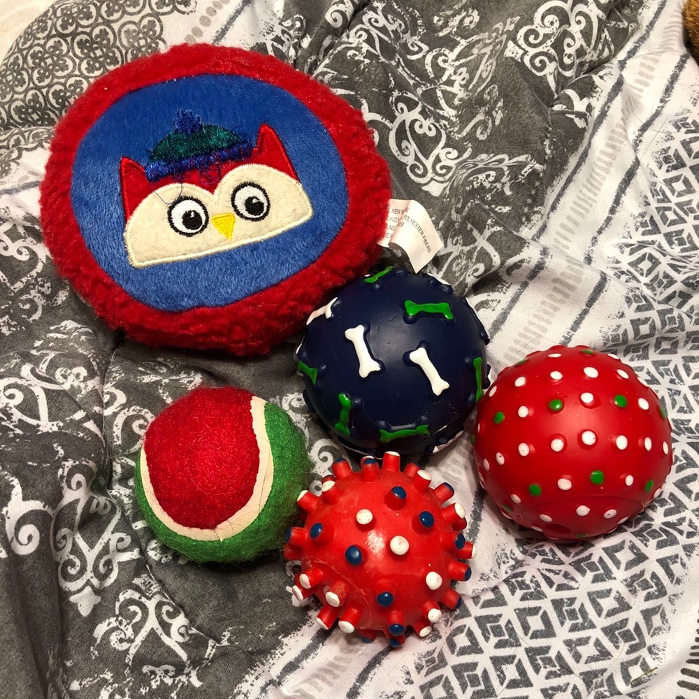 Lot of dog toys